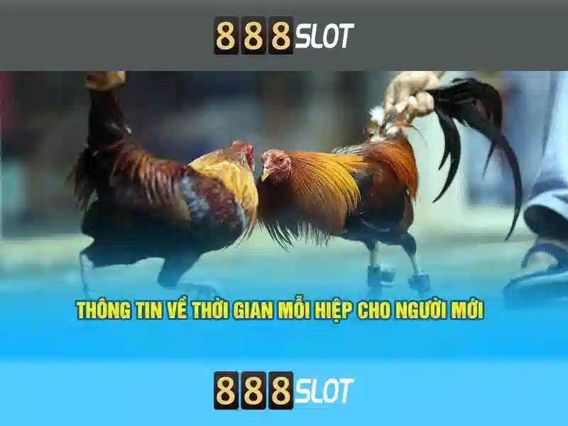trải nghiệm cá cược