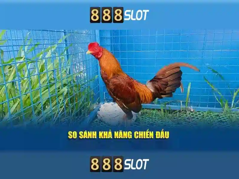 Tận Hưởng Trải Nghiệm Cược Slot Với 888slot Telegram