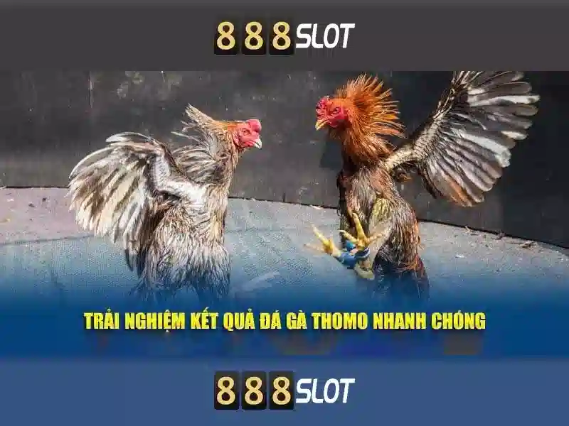 888SLOT - Chương Trình Nhận Thưởng Cực Hấp Dẫn Cho Người Chơi