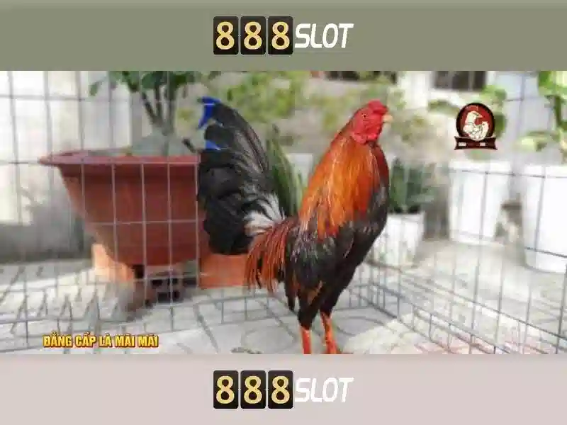 Đăng ký tài khoản Slot