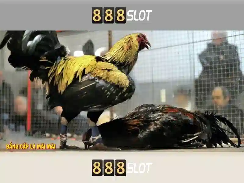 Ưu Điểm Của Tài 888slot