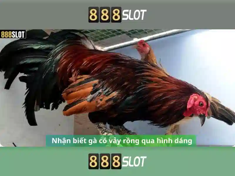 Tỷ Lệ RTP Slot 888SLOT