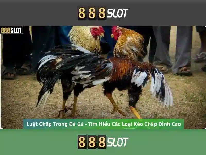 Các trò chơi slot mới nhất 2026