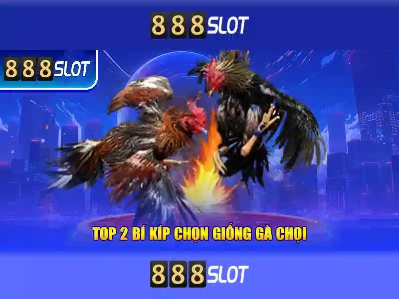 Giới Thiệu Về 888SLOT