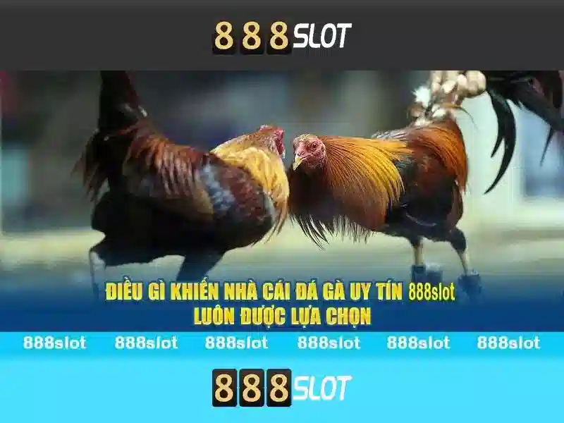 Ưu Đãi 888SLOT