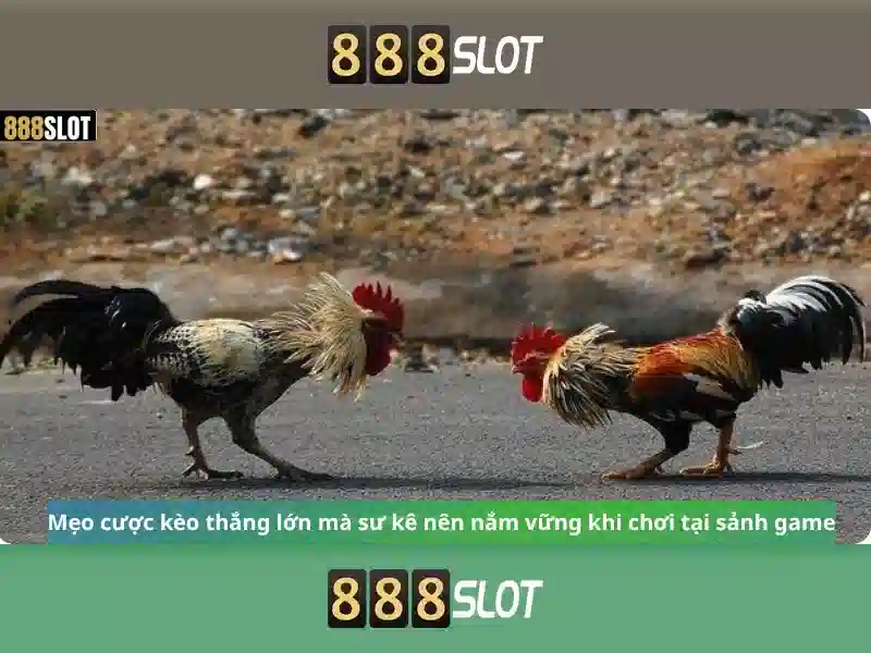 888SLOT – Ưu Đãi Slot 888slot 888 slot 2026