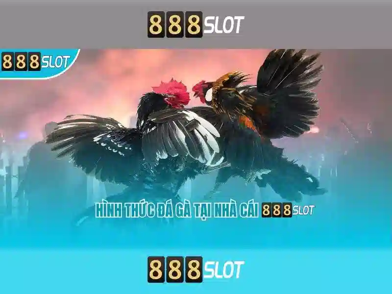 Cộng đồng 888SLOT