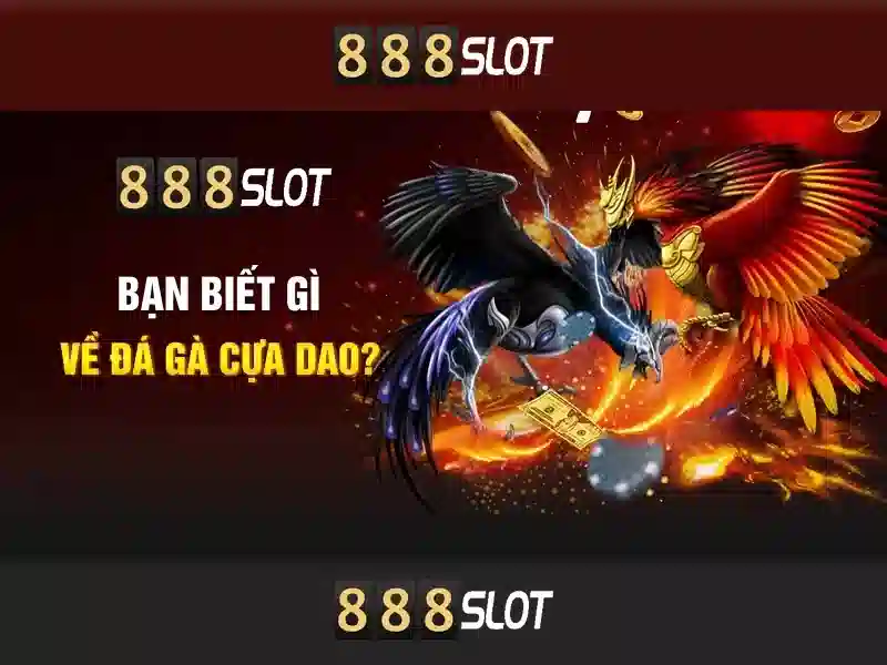 Quyền Riêng Tư 888SLOT