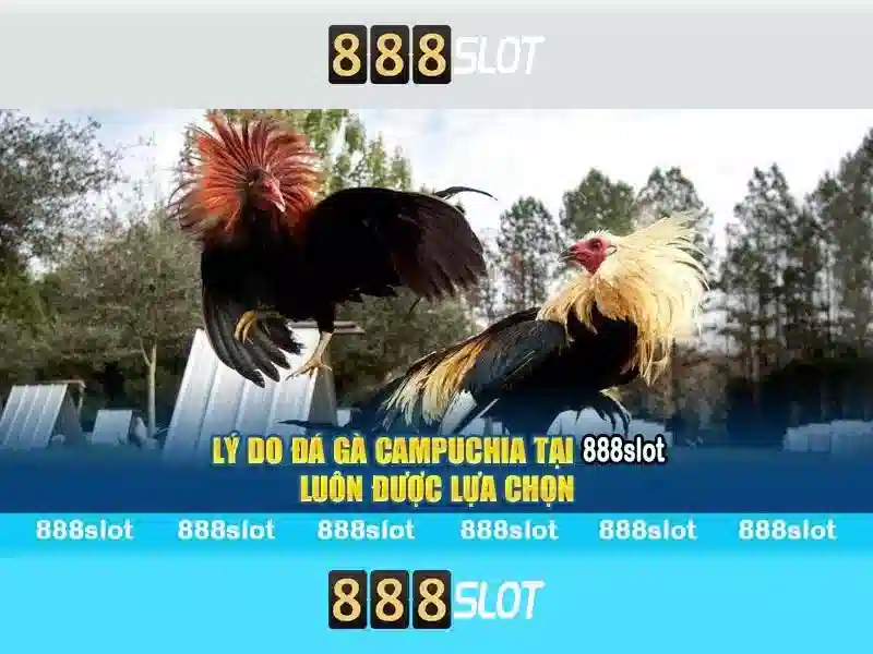 Hướng Dẫn Đăng Nhập 888Slot