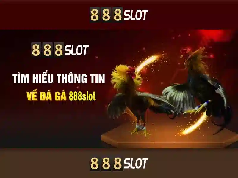 Trải nghiệm slot 888SLOT