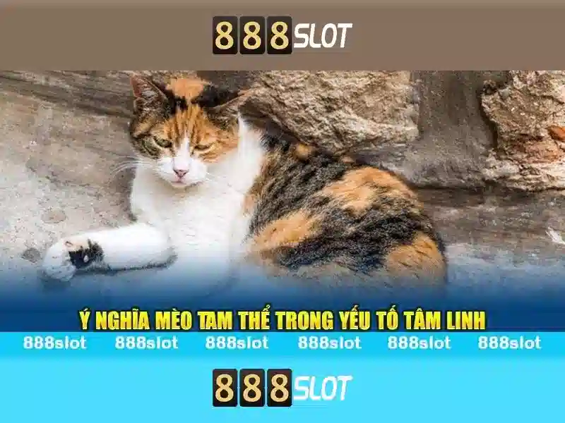 888SLOT – Trải Nghiệm Slot 83 Độc Quyền | Trang Chủ 888SLOT