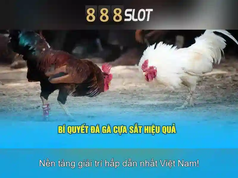 Khám Phá 888slot Com – Nền Tảng Slot Uy Tín