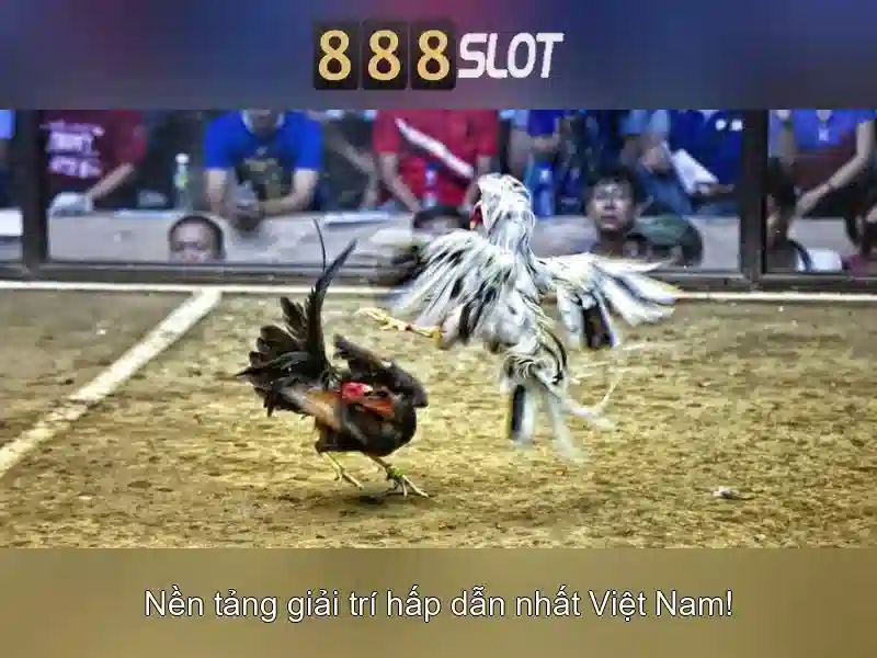 888SLOT – Trang Chủ 888SLOT Chính Thức Không Bị Chặn 2026