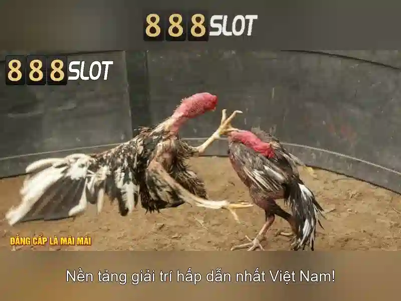 888SLOT