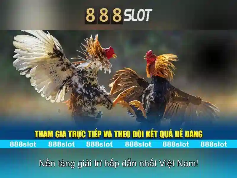 Thế Giới Giải Trí 888SLOT - Đẳng Cấp Chơi Game Bài 3D