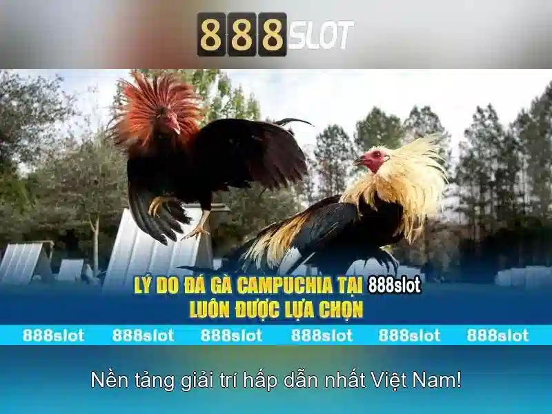 Ưu Đãi 888slot
